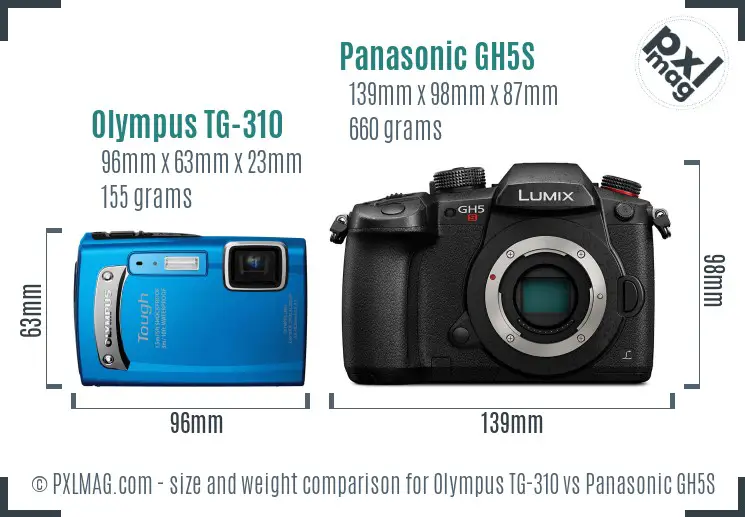 Olympus TG-310 vs Panasonic GH5S size comparison