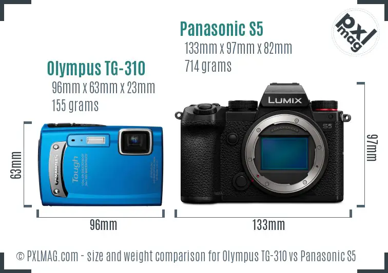 Olympus TG-310 vs Panasonic S5 size comparison