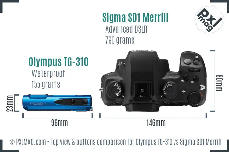 Olympus TG-310 vs Sigma SD1 Merrill top view buttons comparison