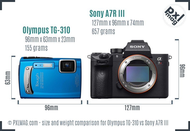 Olympus TG-310 vs Sony A7R III size comparison