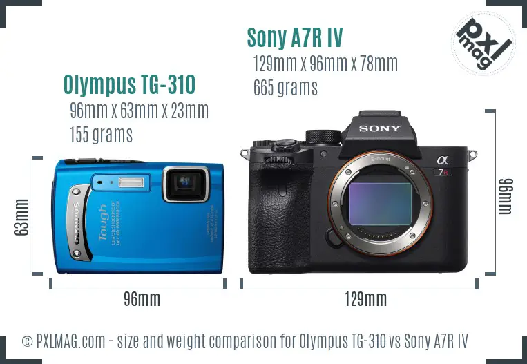 Olympus TG-310 vs Sony A7R IV size comparison