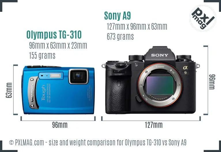 Olympus TG-310 vs Sony A9 size comparison