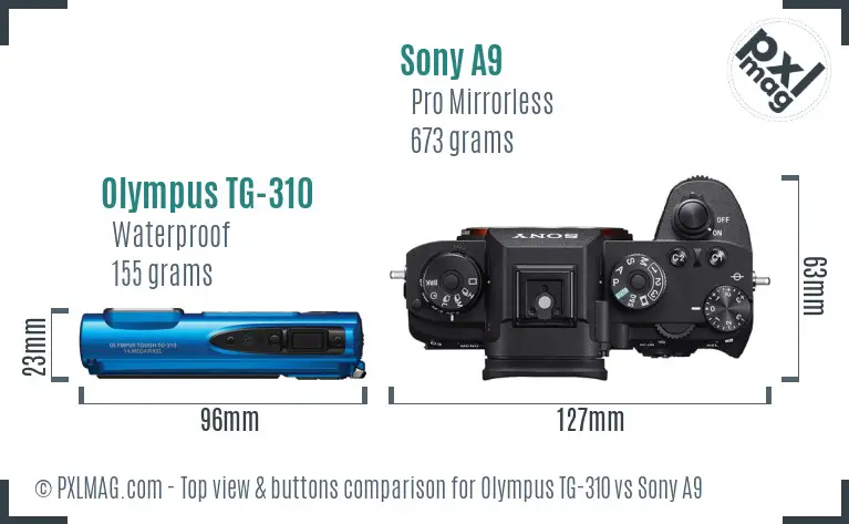 Olympus TG-310 vs Sony A9 top view buttons comparison