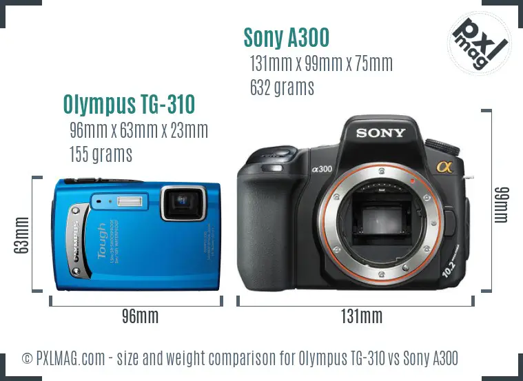 Olympus TG-310 vs Sony A300 size comparison