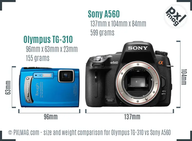 Olympus TG-310 vs Sony A560 size comparison