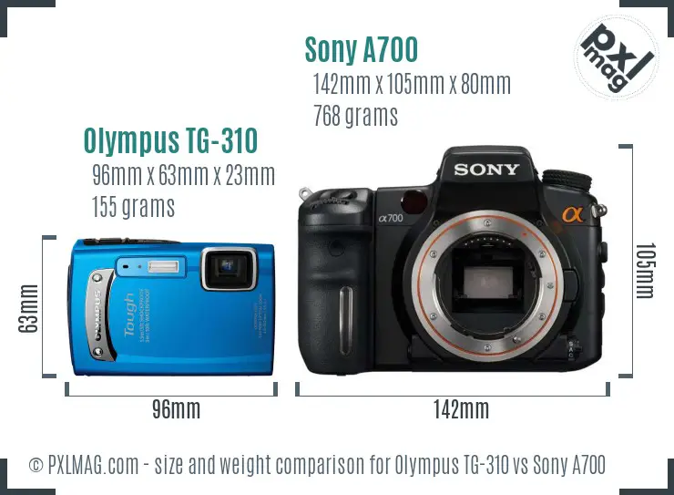 Olympus TG-310 vs Sony A700 size comparison