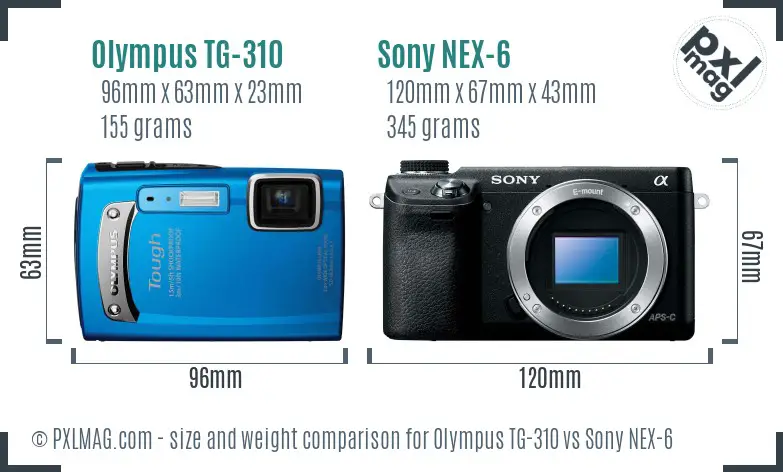 Olympus TG-310 vs Sony NEX-6 size comparison