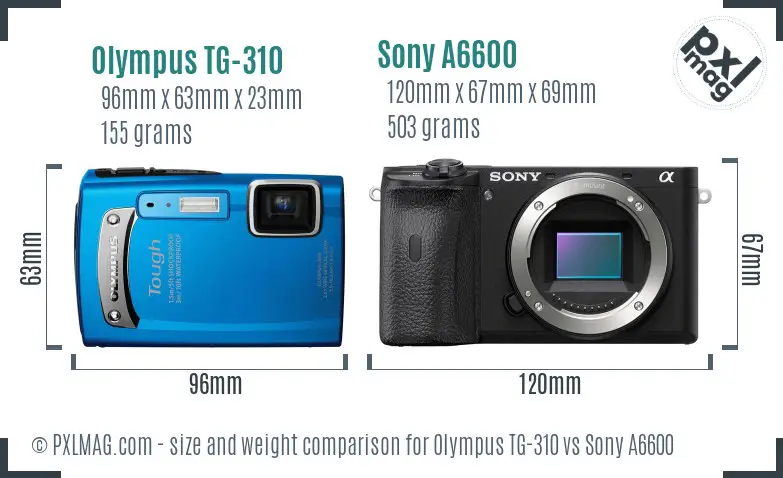 Olympus TG-310 vs Sony A6600 size comparison