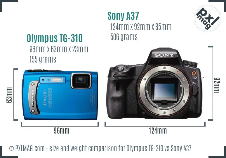 Olympus TG-310 vs Sony A37 size comparison