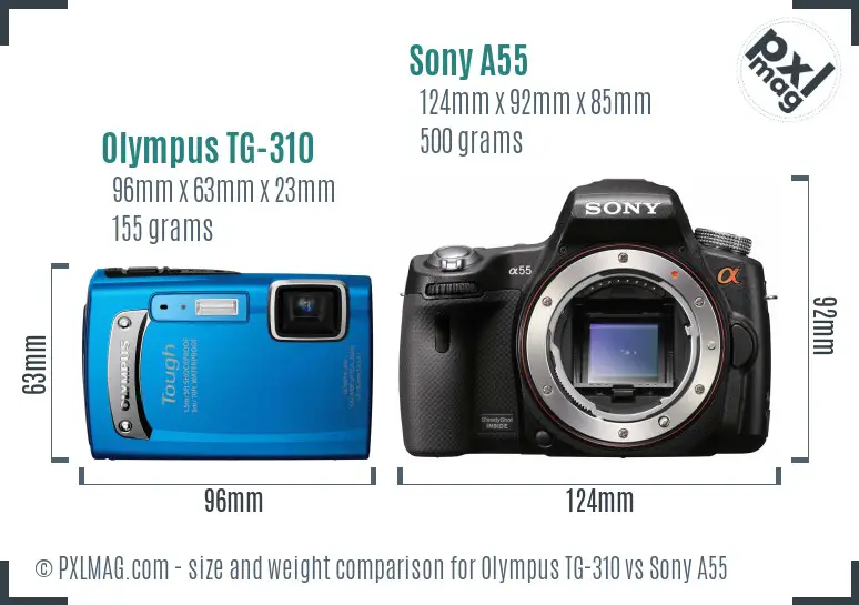 Olympus TG-310 vs Sony A55 size comparison