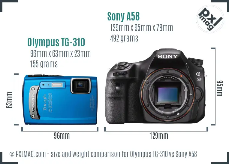 Olympus TG-310 vs Sony A58 size comparison