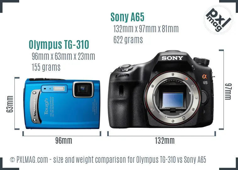 Olympus TG-310 vs Sony A65 size comparison