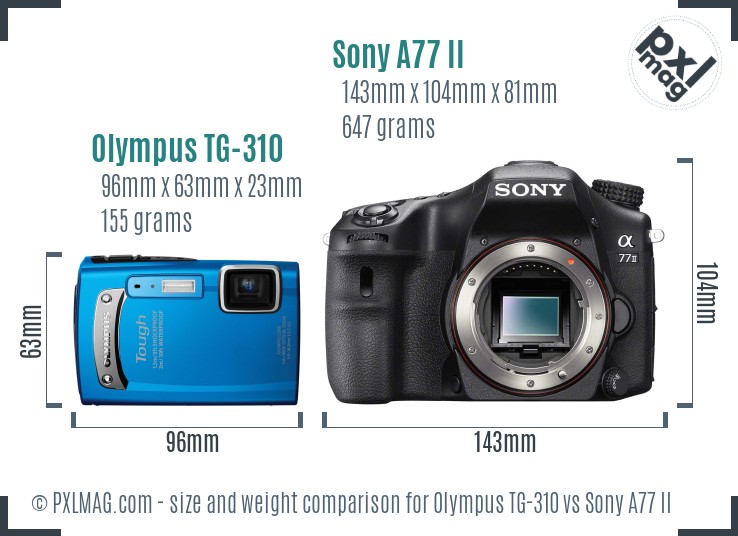 Olympus TG-310 vs Sony A77 II size comparison