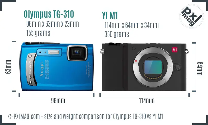 Olympus TG-310 vs YI M1 size comparison