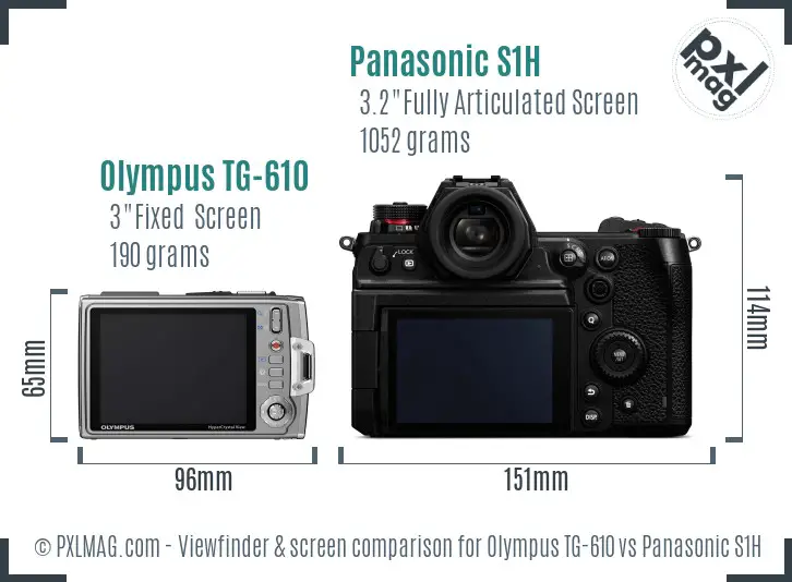 Olympus TG-610 vs Panasonic S1H Screen and Viewfinder comparison