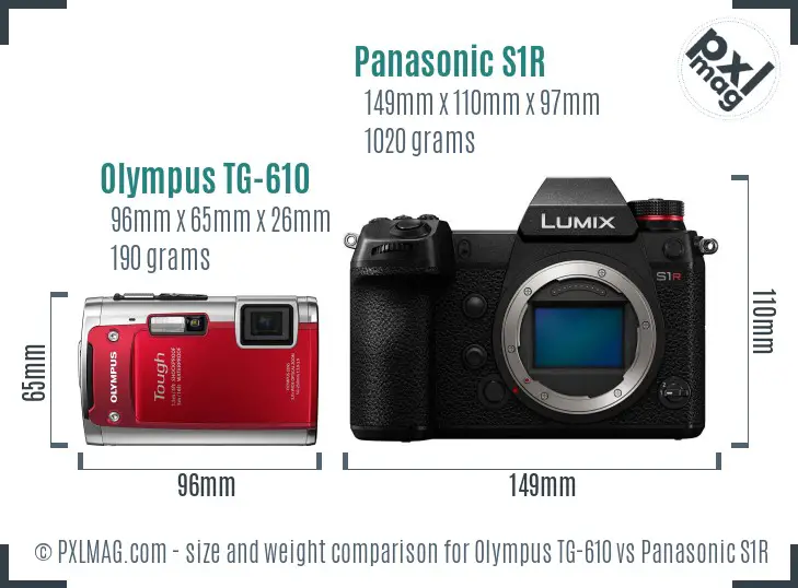 Olympus TG-610 vs Panasonic S1R size comparison