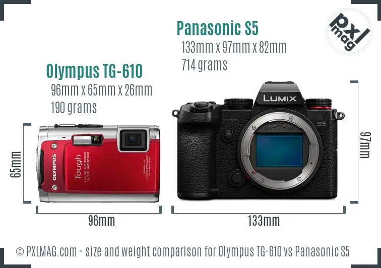 Olympus TG-610 vs Panasonic S5 size comparison
