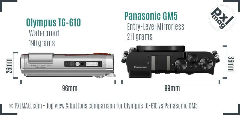 Olympus TG-610 vs Panasonic GM5 top view buttons comparison