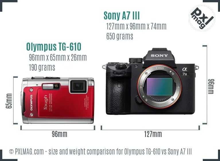 Olympus TG-610 vs Sony A7 III size comparison