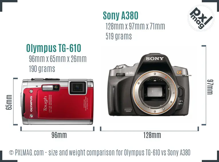 Olympus TG-610 vs Sony A380 size comparison