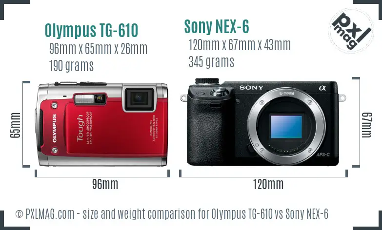 Olympus TG-610 vs Sony NEX-6 size comparison