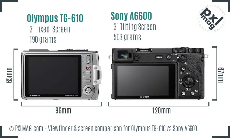Olympus TG-610 vs Sony A6600 Screen and Viewfinder comparison