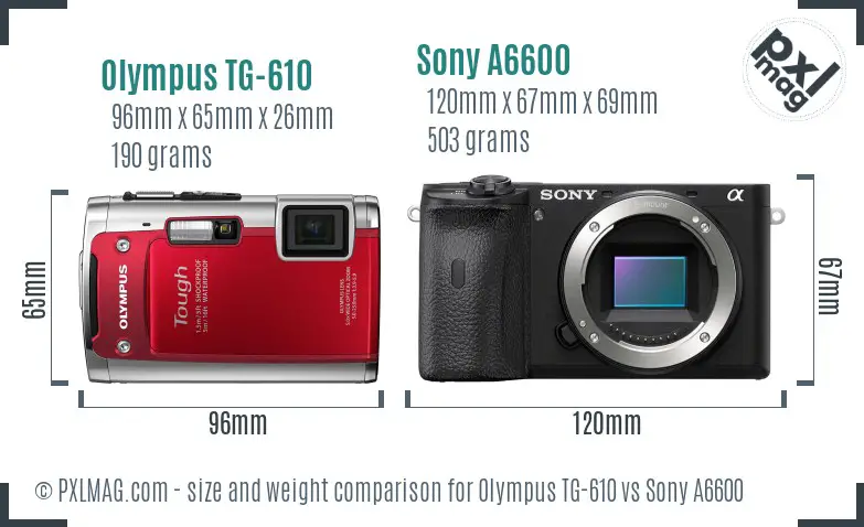 Olympus TG-610 vs Sony A6600 size comparison