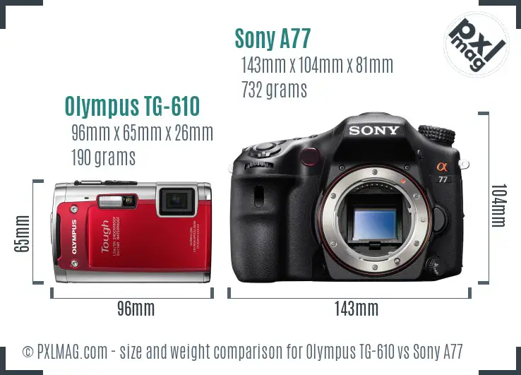 Olympus TG-610 vs Sony A77 size comparison