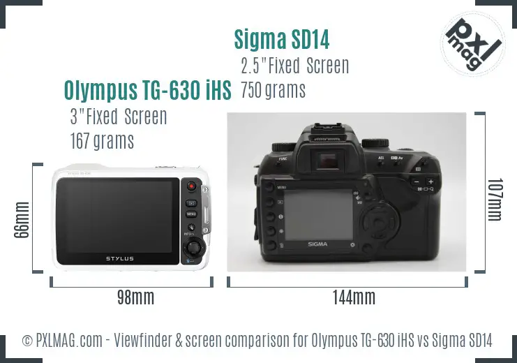 back-screen.jpg