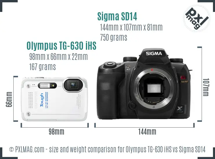 size-comparison.jpg