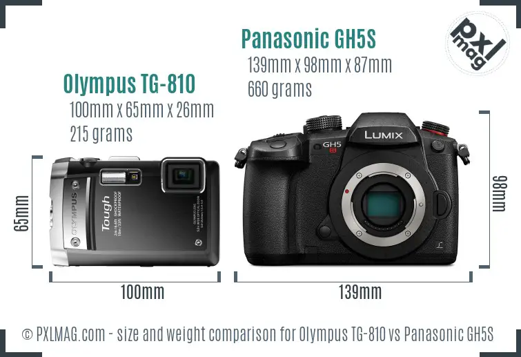 Olympus TG-810 vs Panasonic GH5S size comparison