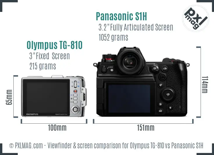 Olympus TG-810 vs Panasonic S1H Screen and Viewfinder comparison