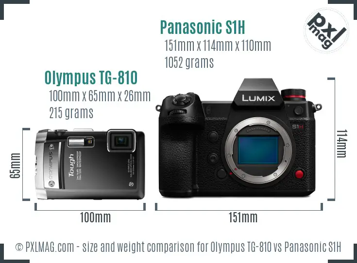 Olympus TG-810 vs Panasonic S1H size comparison