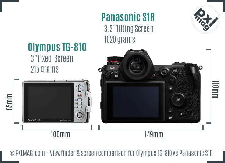 Olympus TG-810 vs Panasonic S1R Screen and Viewfinder comparison