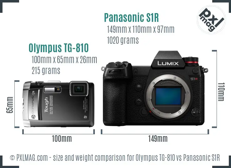 Olympus TG-810 vs Panasonic S1R size comparison