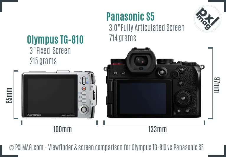 Olympus TG-810 vs Panasonic S5 Screen and Viewfinder comparison