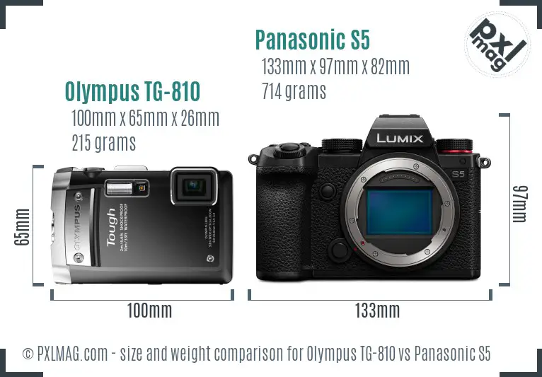 Olympus TG-810 vs Panasonic S5 size comparison