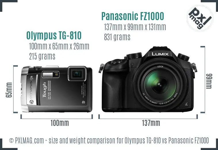 Olympus TG-810 vs Panasonic FZ1000 size comparison
