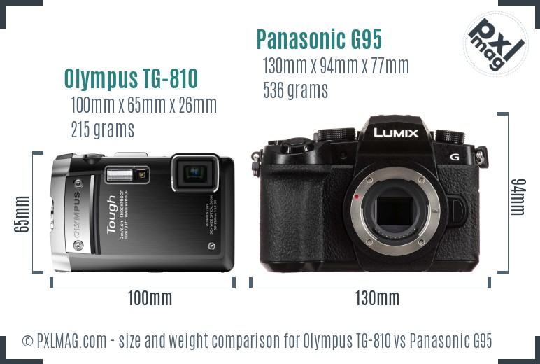 Olympus TG-810 vs Panasonic G95 size comparison