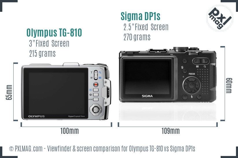 Olympus TG-810 vs Sigma DP1s Screen and Viewfinder comparison