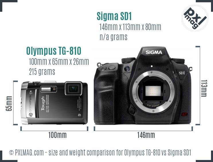 Olympus TG-810 vs Sigma SD1 size comparison