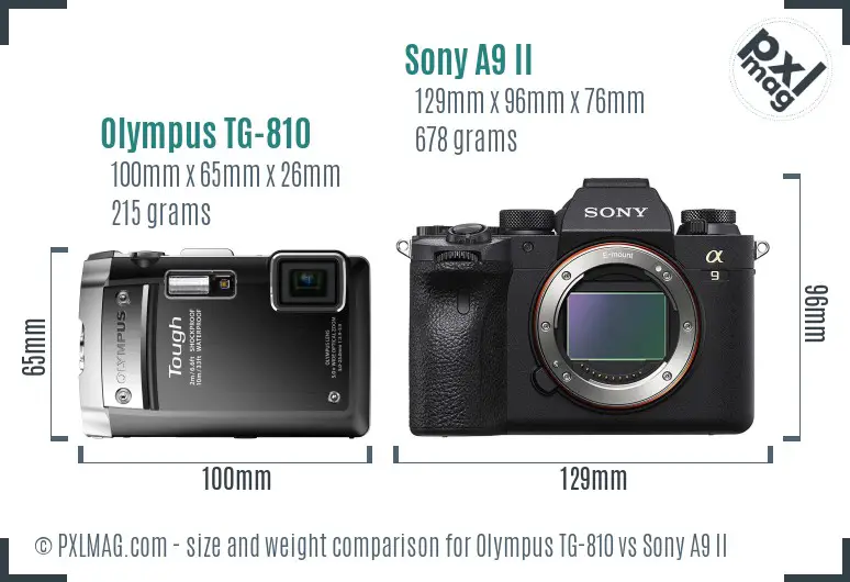 Olympus TG-810 vs Sony A9 II size comparison