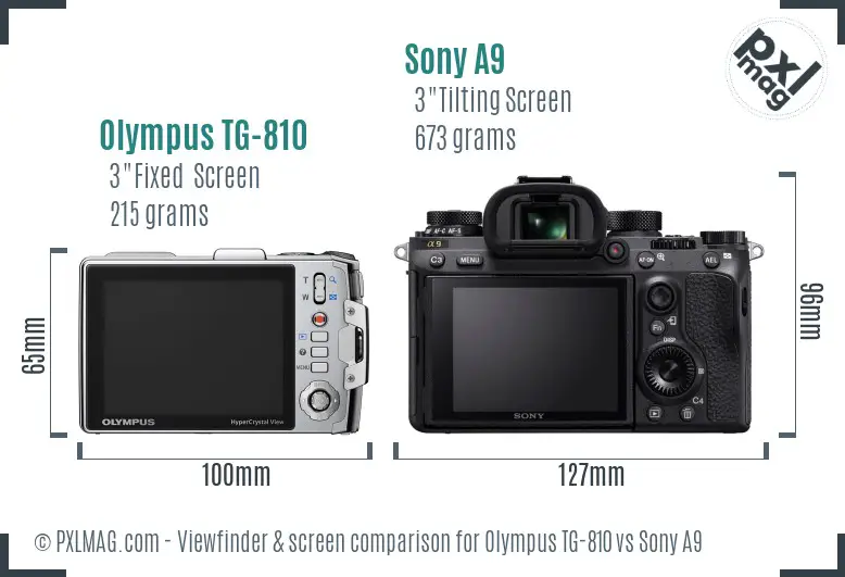 Olympus TG-810 vs Sony A9 Screen and Viewfinder comparison