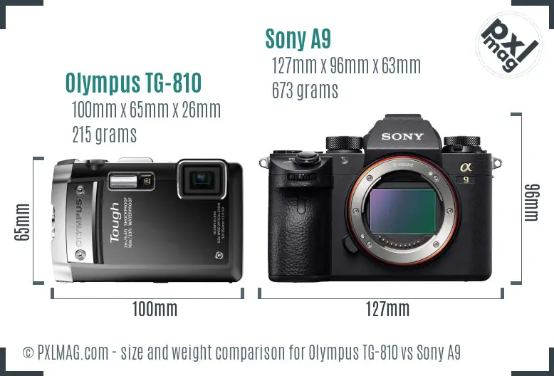 Olympus TG-810 vs Sony A9 size comparison