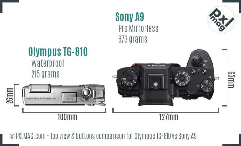 Olympus TG-810 vs Sony A9 top view buttons comparison