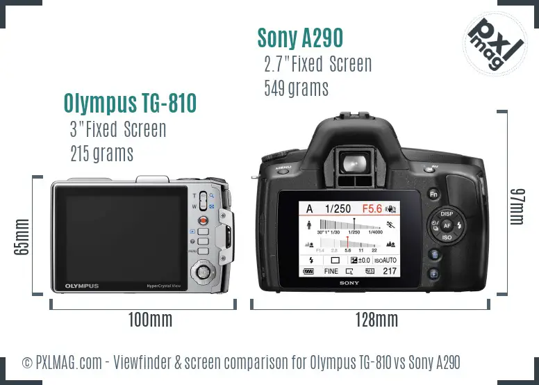 Olympus TG-810 vs Sony A290 Screen and Viewfinder comparison