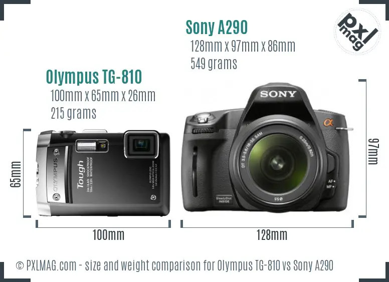 Olympus TG-810 vs Sony A290 size comparison
