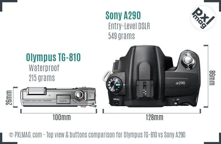 Olympus TG-810 vs Sony A290 top view buttons comparison