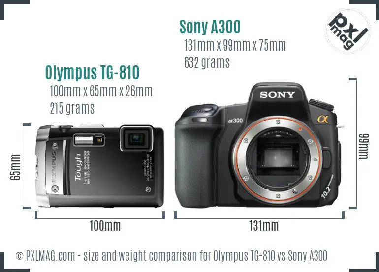 Olympus TG-810 vs Sony A300 size comparison