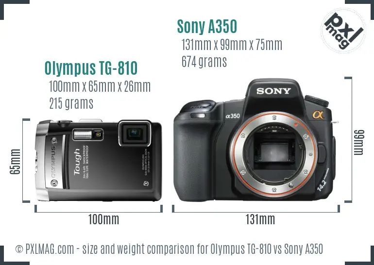 Olympus TG-810 vs Sony A350 size comparison